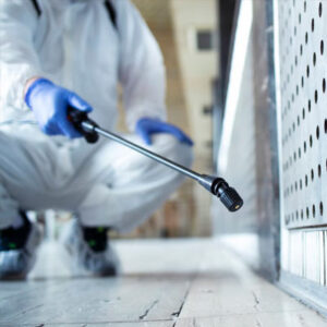 Master Pest Control Philippines | Safe & Reliable Pest Solutions